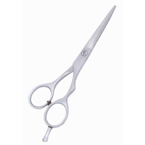 Barber Scissors