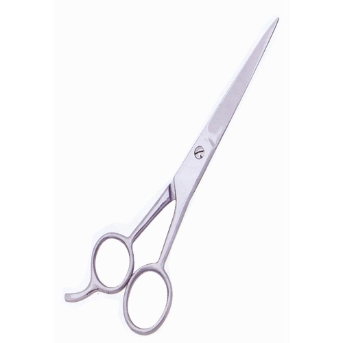 Barber Scissors