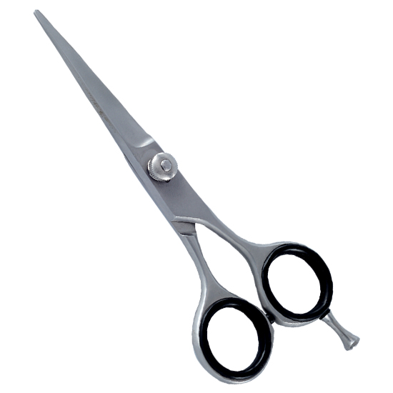 Barber Scissors