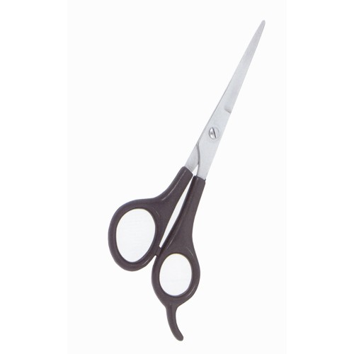 Plastic Handle Scissors