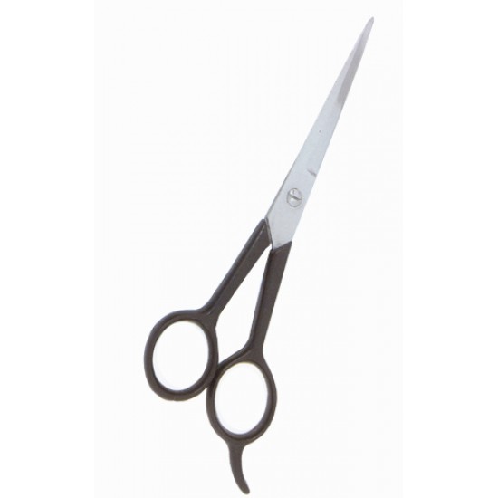 Plastic Handle Scissors