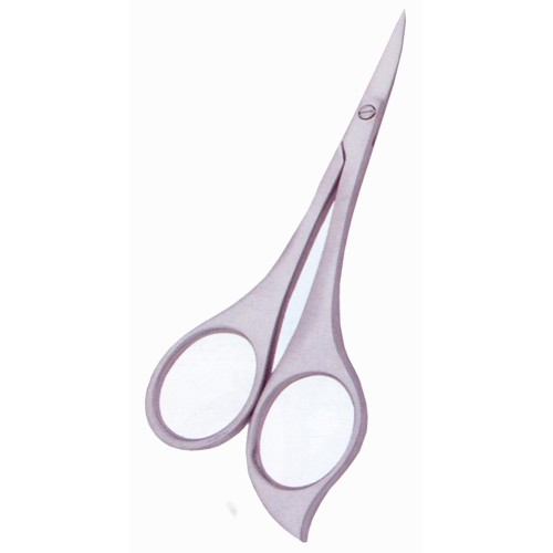 Stylish Scissors